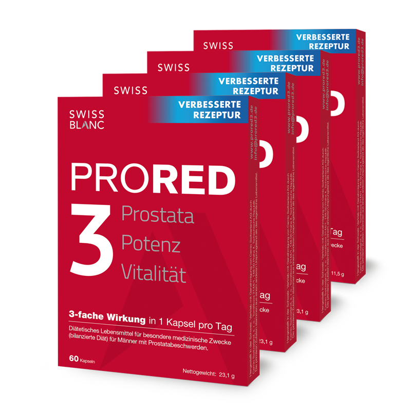 PRORED3 6-monatiges Programm